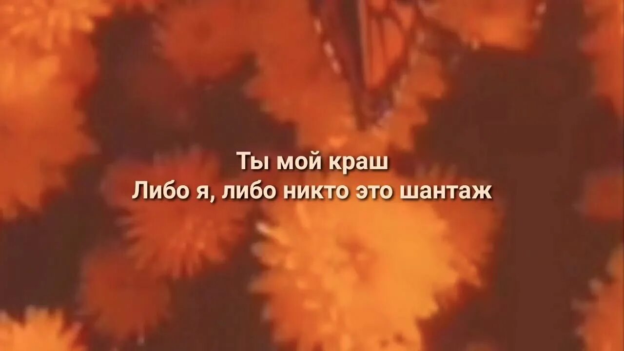 Мой краш песни. Краш niletto. Краш клава кока niletto. Клава кока ты мой краш текст. Калва кока кра.