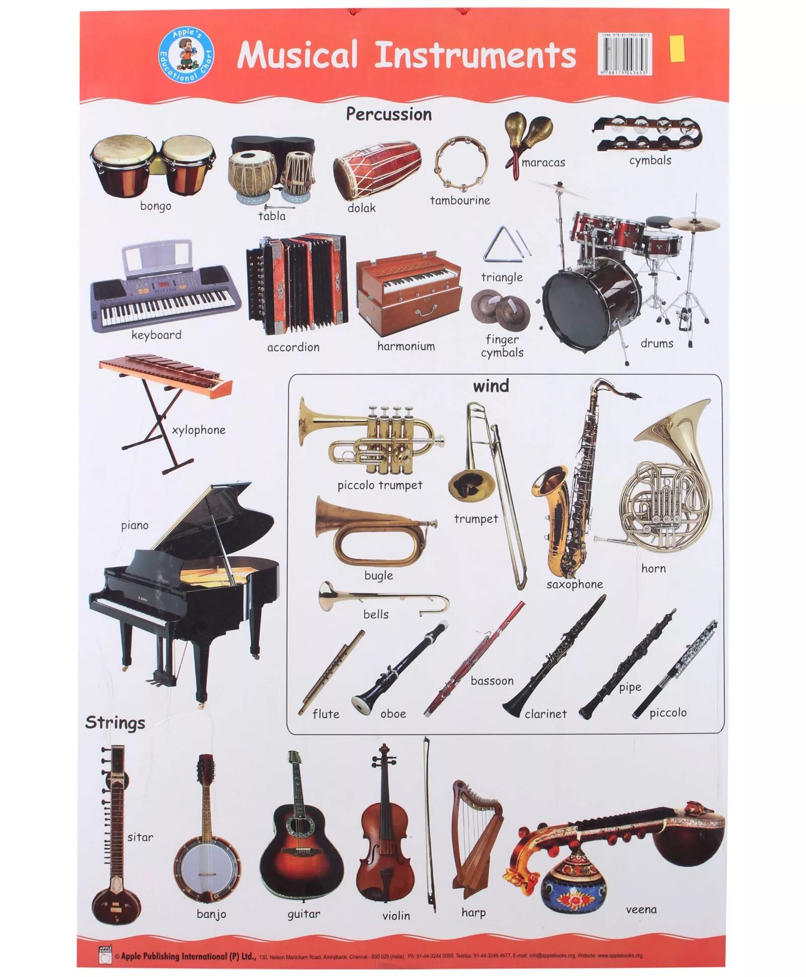 Музыкальные инструменты названия. Музыкальные инструменты на английском. Музыкальные инструменты для детей названия. Название музыкальных инструментов на англ.