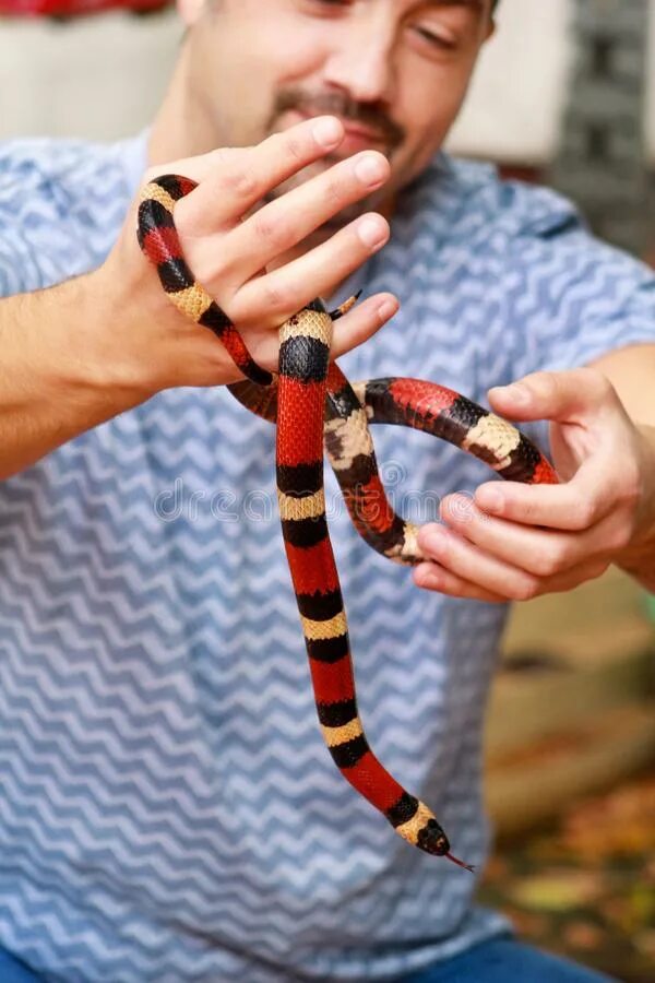 Ребенок держит змею. Рука держит змею. Человек держит змею.