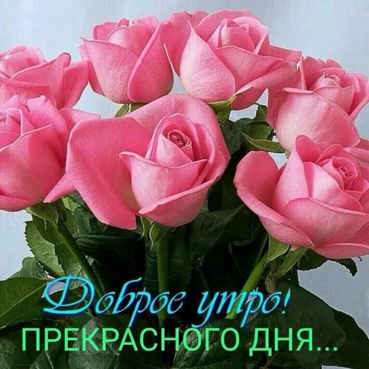 Друзья! Подписчики! Гости! Моей странички! С новым началом дня!.. 2021 ВКонтакте