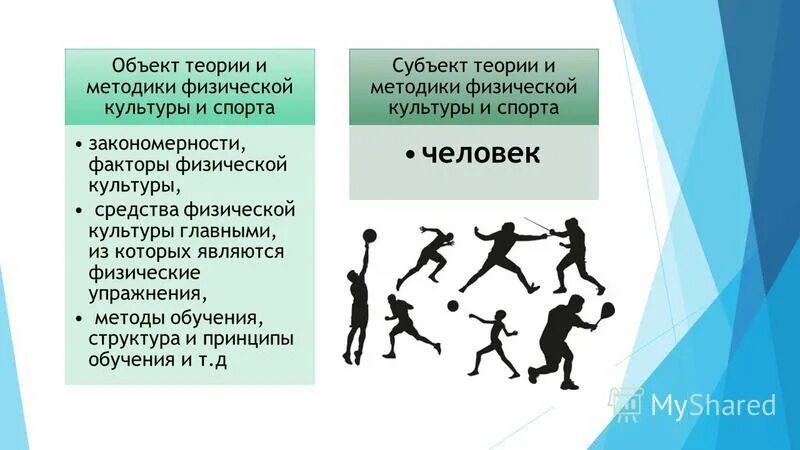 Совокупность команд составленная по спортивному принципу