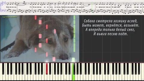Ноты собачий