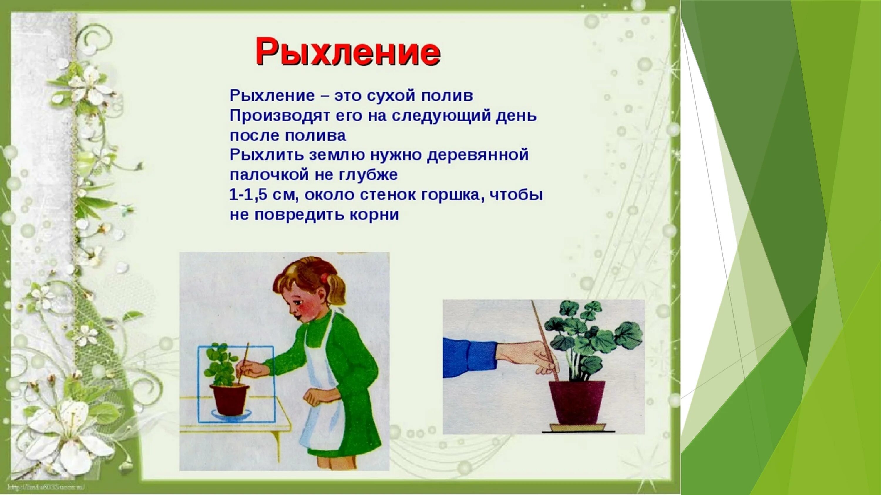 Урок художественное слово. Уход заикомнатными растениями. Рыхление комнатных растений для детей. Правила ухода за комнатными растениями. Уход за камнатными расстеня.