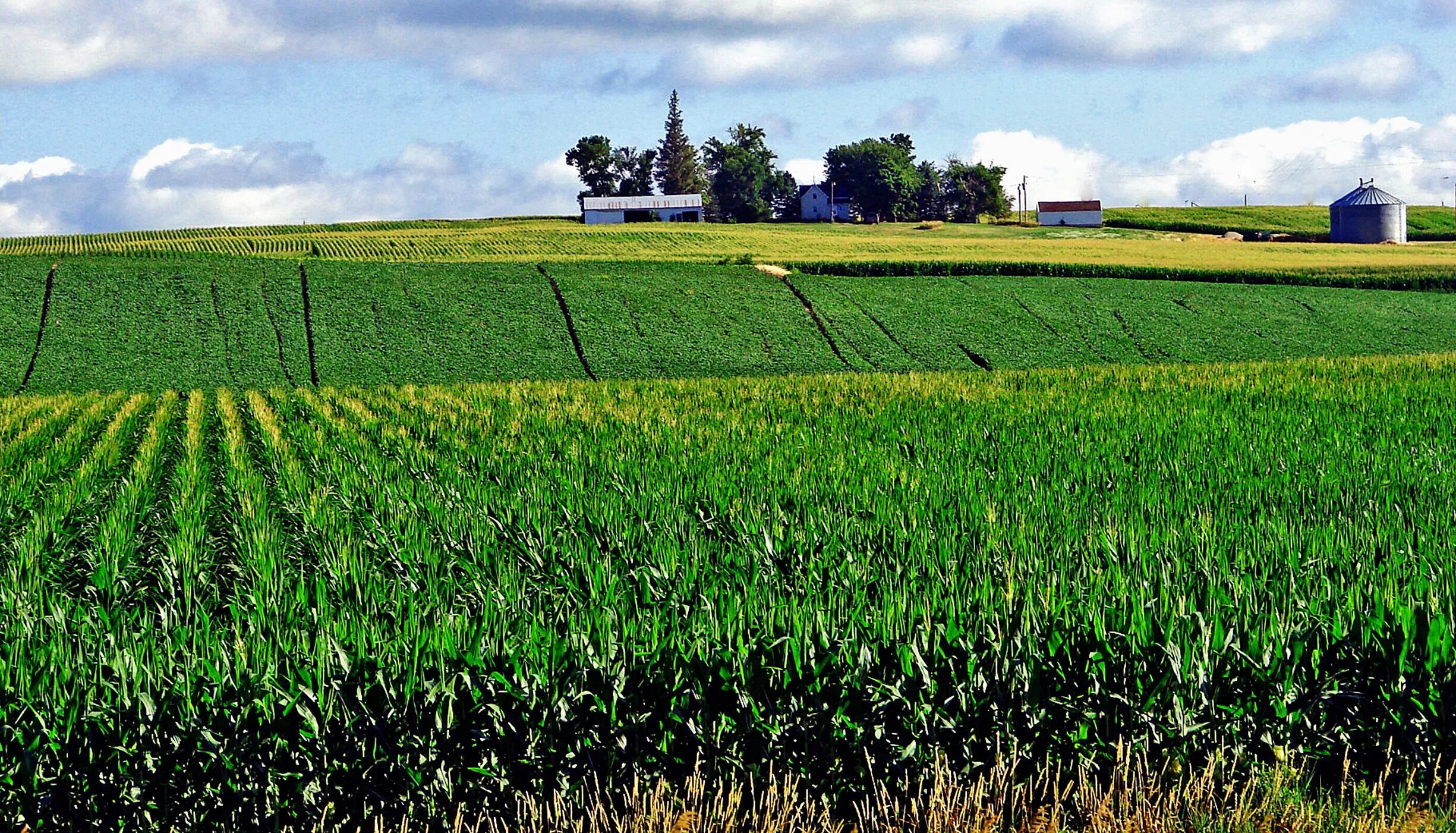 Почва в сельском хозяйстве. Сельскохозяйственные угодья Канады. Земельные ресурсы. Сельскохозяйственные земли. Земельные угодья.