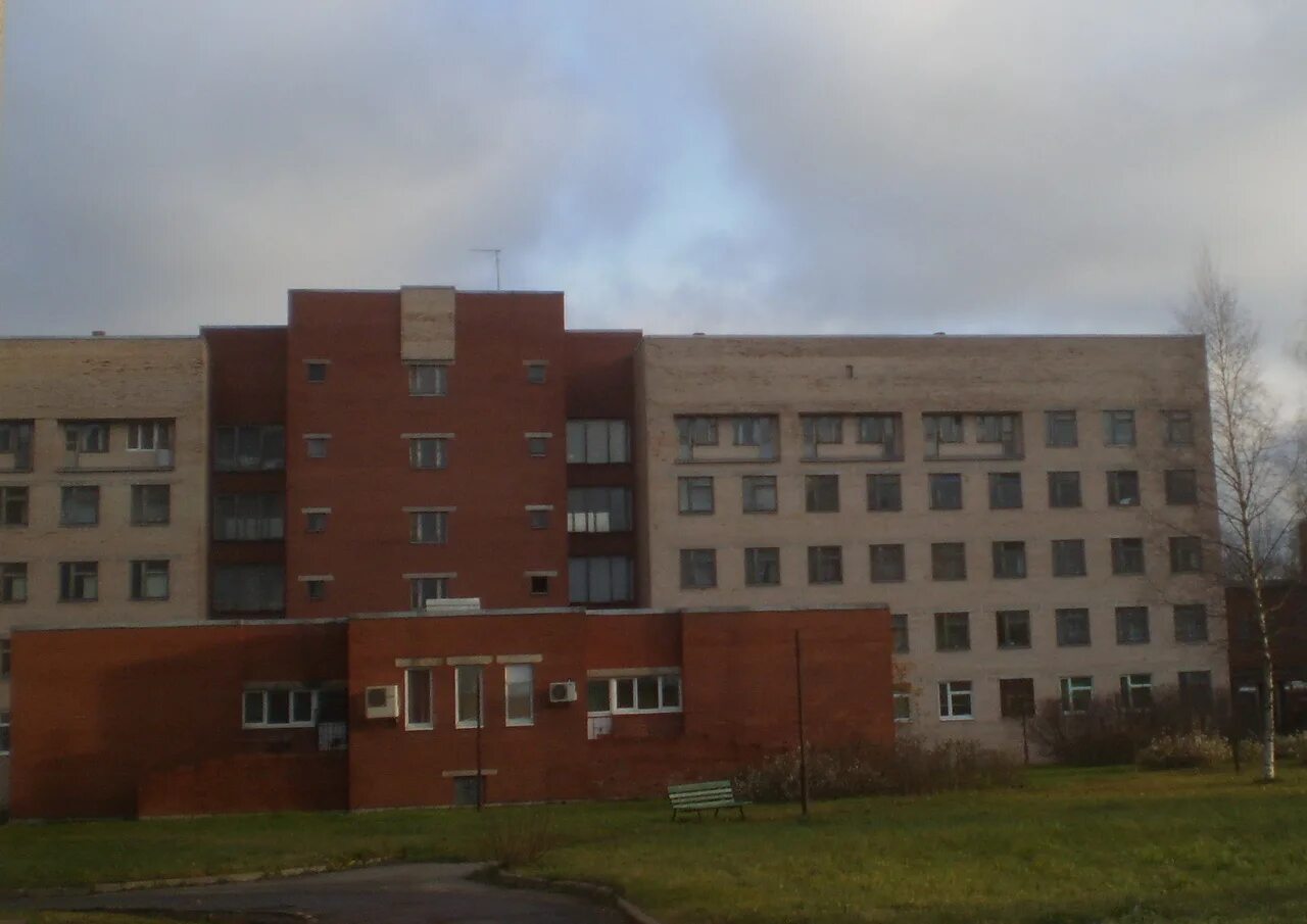 Пушкинский гарнизонный госпиталь, ул. Радищева, 26, Пушкин, Saint Petersburg, Ru