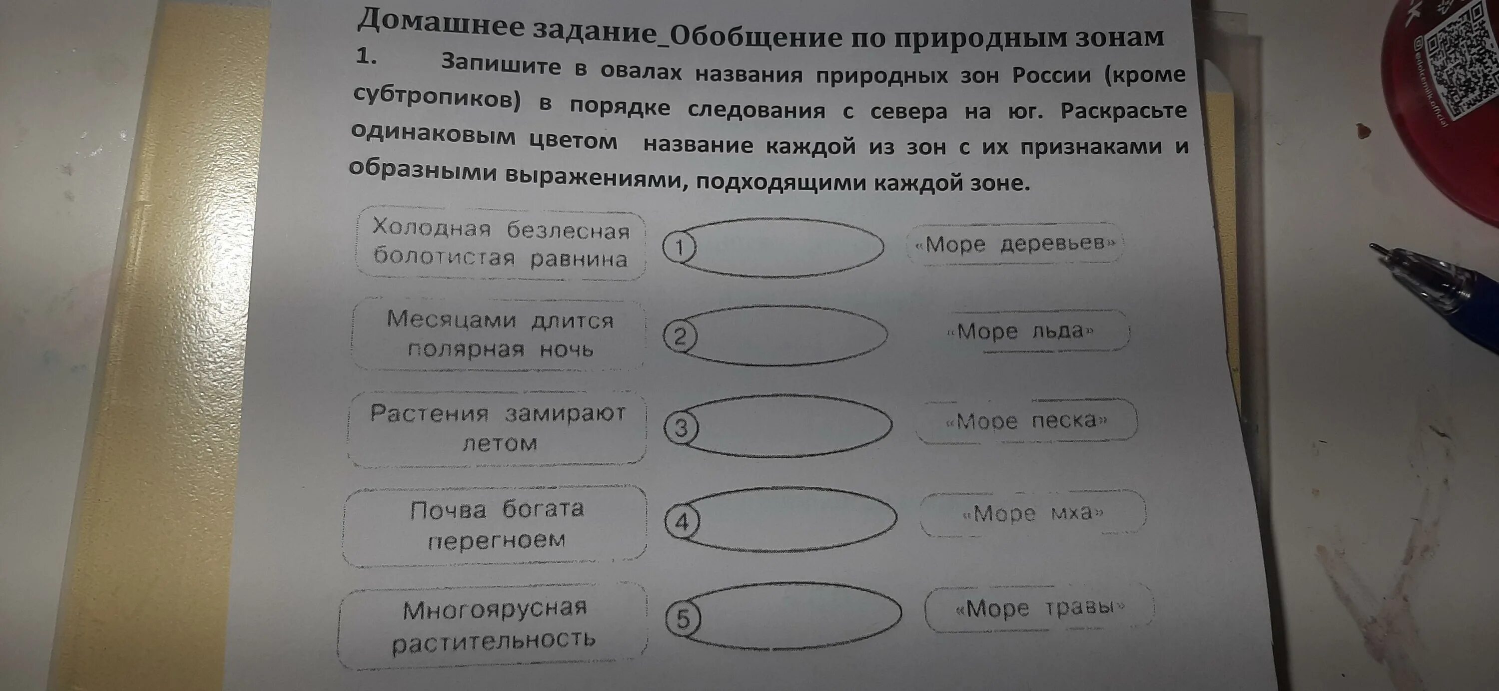 Последовательность природных зон с севера на юг. Природные зоны в порядке их следования с севера на Юг. Природные зоны России в порядке их следования с севера на Юг. Порядок следования природных зон России с севера на Юг. В прямоугольниках расположены природные зоны в порядке их следования.