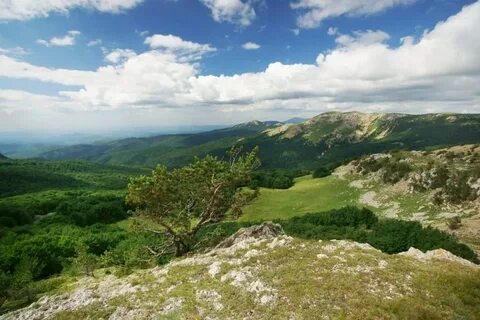 Национальный заповедник крыма