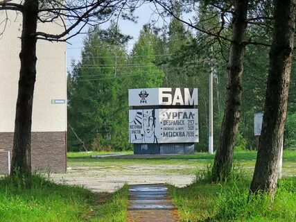 Сад бам