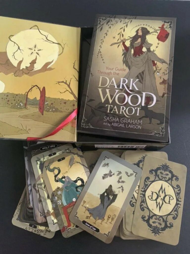 Dark wood tarot саша грэхем. Dark wood tarot. Таро темного леса саша грэхем. Абигейл ларсон таро темного леса. Dark wood tarot саша грэхем.