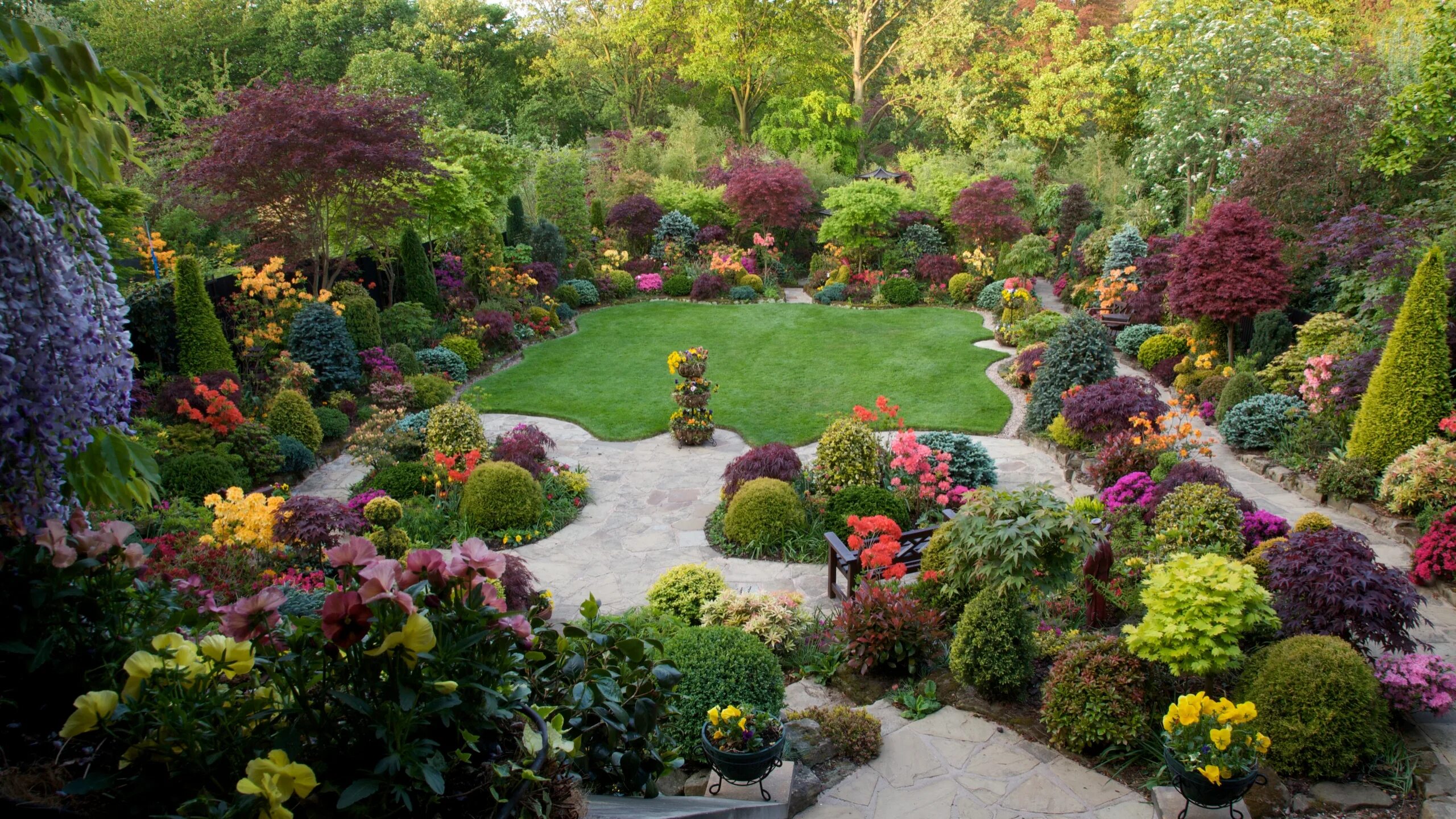 Декоративные растения для сада. Садовый ландшафт. Красивые ландшафтные композиции. Декоративные цветы для сада.