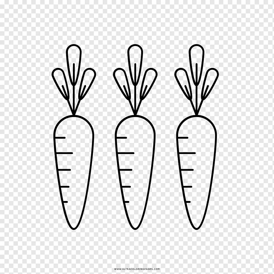 Шаблон моркови для вырезания Pin by Maria Santos on Manualidades in 2024 Paper flower templates free printabl