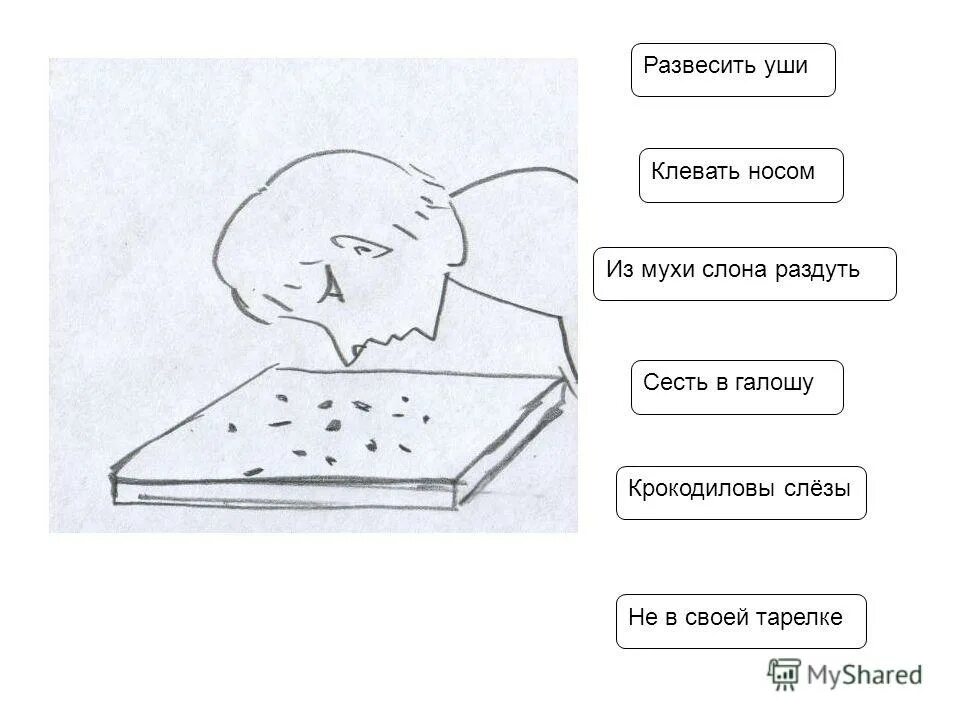 Клевать носом это. Клевать носом картинка к фразеологизму. Клевать носом фразеологизм. Нарисовать фразеологизм клевать носом. Клевать носом рисунок.