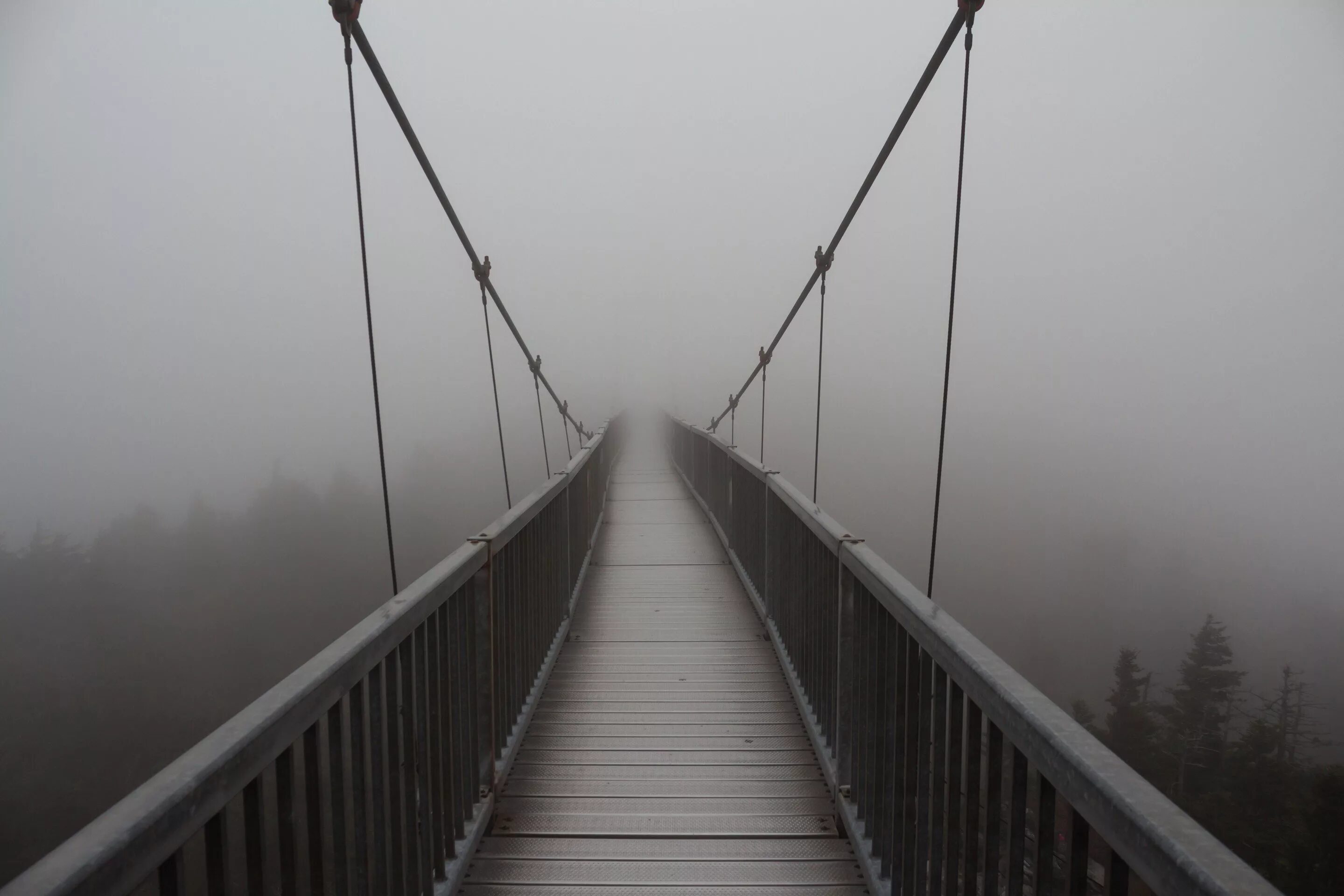 Будем делать мост. Мост в тумане. Подвесной мост в тумане. Висячий мост. Подвесной канатный мост.