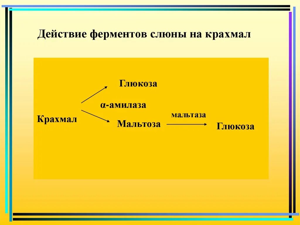 Крахмал слюна температура. Действие ферментов слюны на крахмал. Действие феромонов слюны на крахмал. Воздействие ферментов слюны на крахмал. Действие амилазы слюны на крахмал.