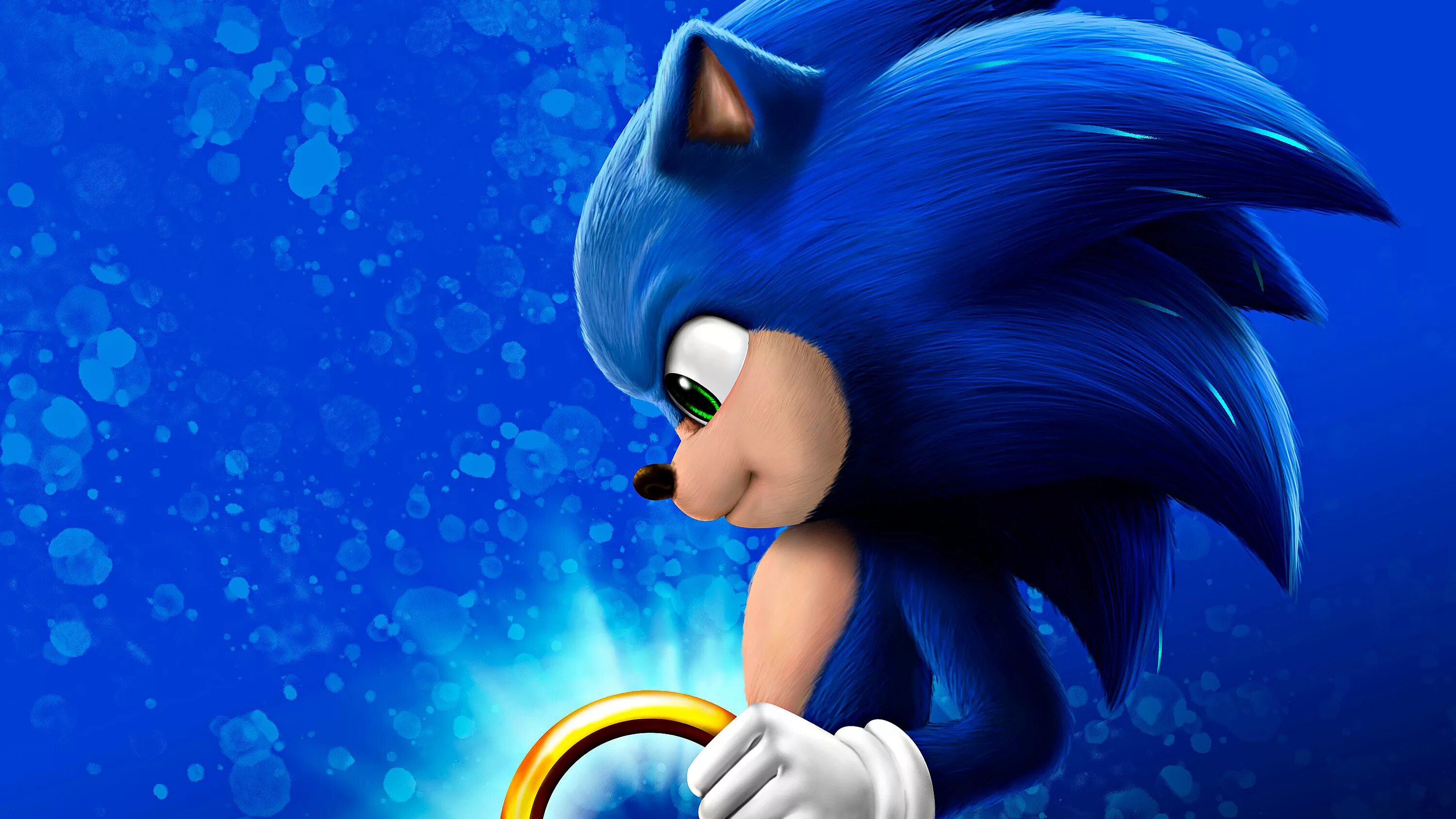 Sonic the hedgehog