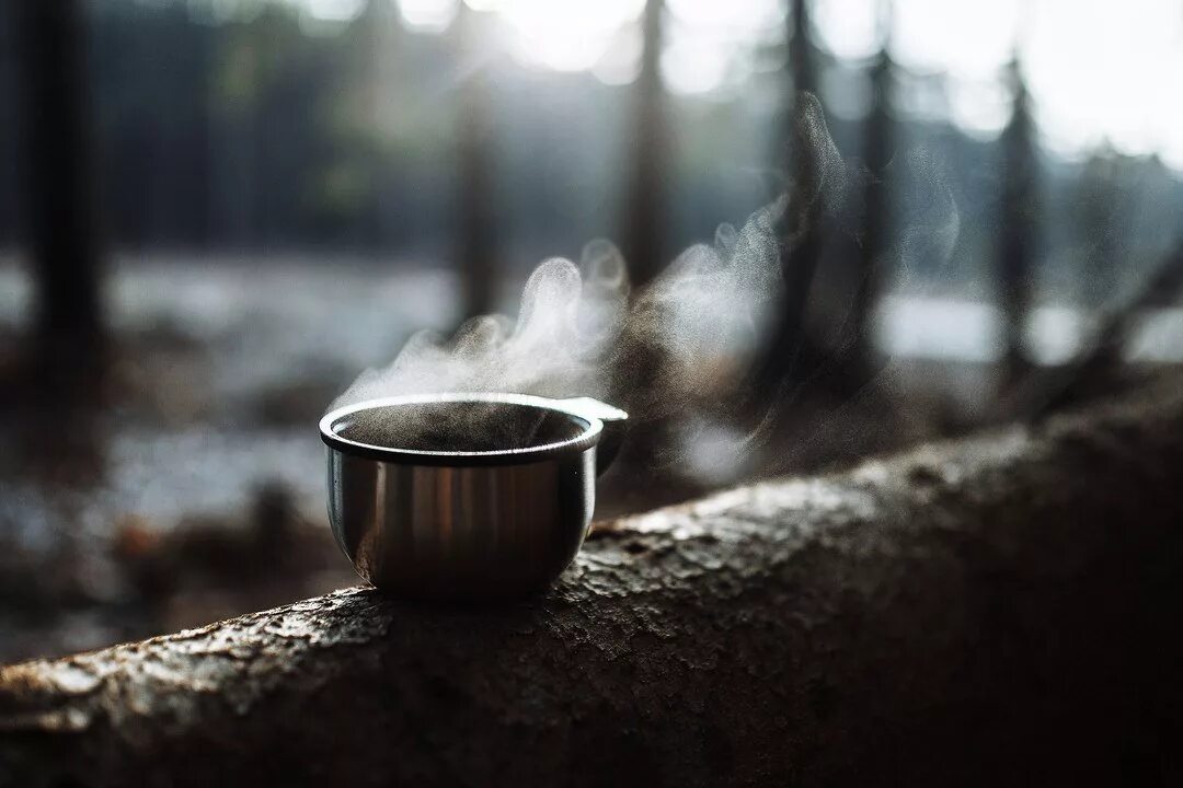 чашечка кофе на природе. чай зимой в лесу. чай зимой. чашка чая на природе. чай из хвои.