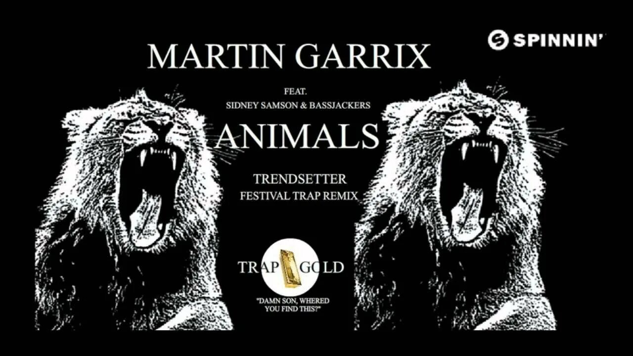 Martin garrix remixes. Martin garrix animals. martin garrix animals mp3.