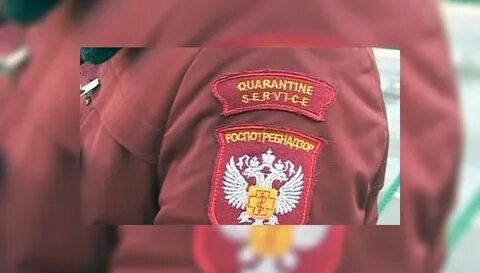 Роспотребнадзор выдает