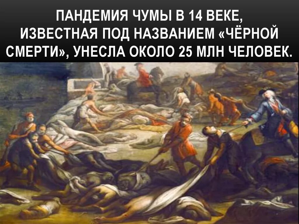 Эпидемии чумы в истории. Эпидемия чумы в европе 14 века.