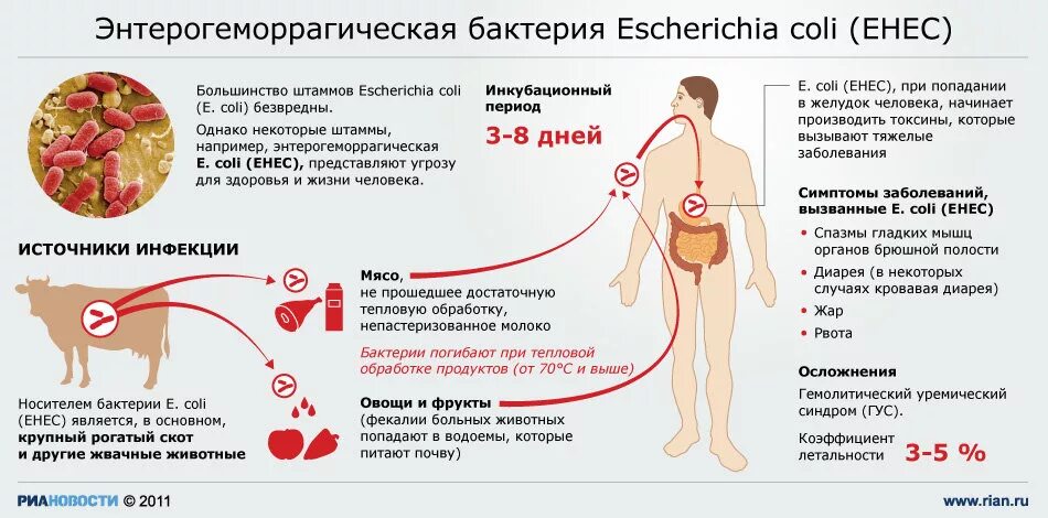 При какой температуре умирает сальмонелла