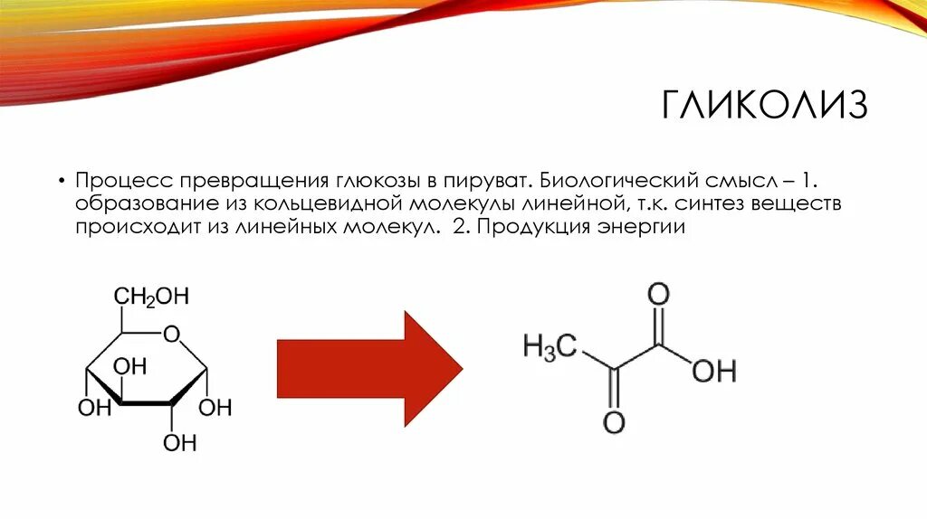 Схема гликолиза биохимия с ферментами. Глюкоза гликолиз пируват. Глюкоза гликолиз пируват. Гликолиз и глюконеогенез биохимия. Цикл гликолиза биохимия.
