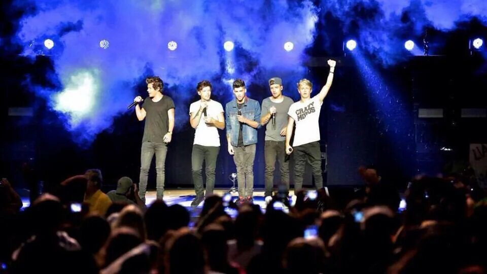 Поет группа на на концерт. One Direction Concert. One Direction концерт. One Direction 2014 концерты. Группа one Direction 2023 концерт.