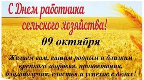 День сельского хозяйства в детском саду