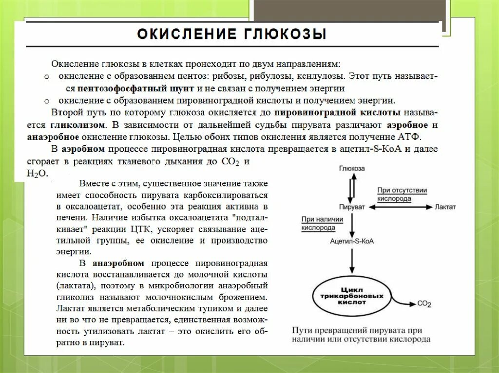 Дихотомический путь распада углеводов. Аэробное дихотомическое окисление Глюкозы. Дихотомический распад Глюкозы. Аэробное дихотомическое окисление Глюкозы биохимия.