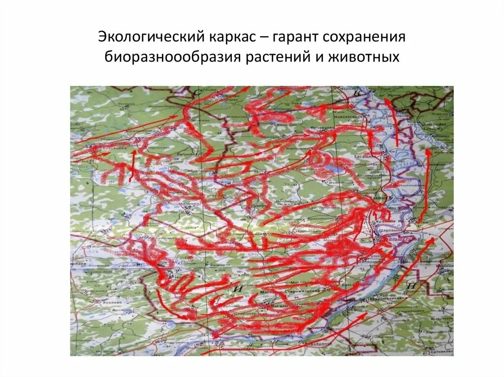 Природный каркас территории. Экологический каркас. экологический каркас города. структура экологического каркаса. природно экологический каркас города.
