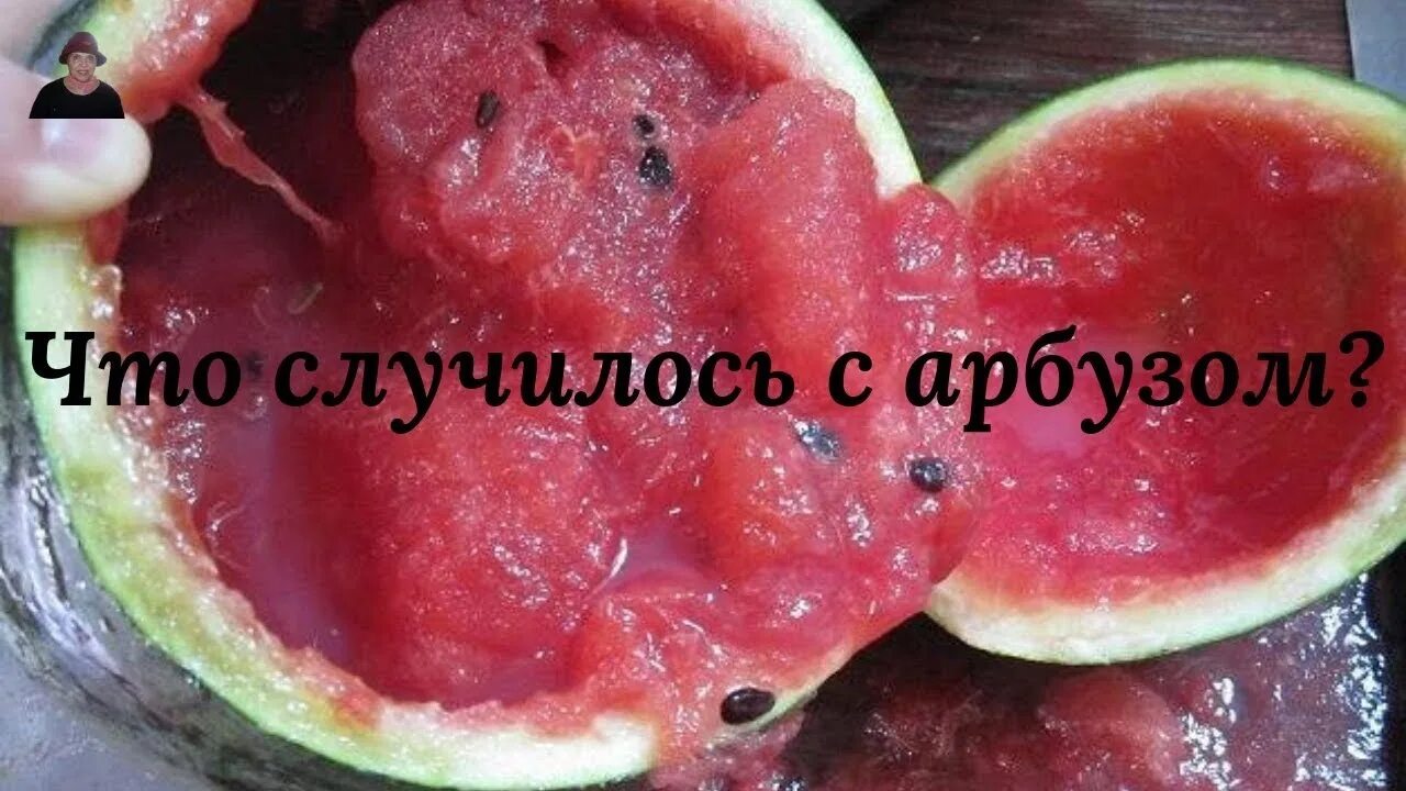 Что будет если весь день есть арбуз. Переспелый арбуз. арбуз испортился.