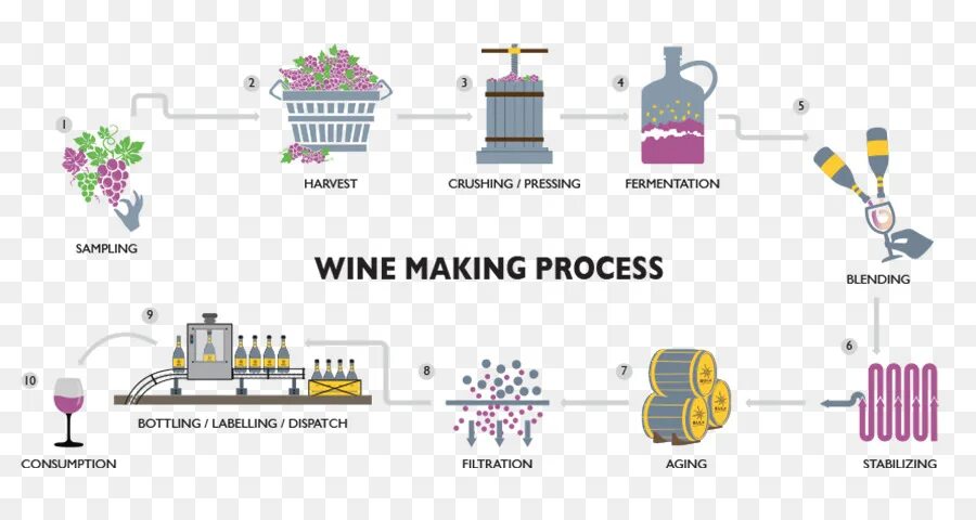 Производство вина технология схема. Схема производства игристых вин. Процесс производства вина схема. Этапы производства красного вина. Производство красного вина