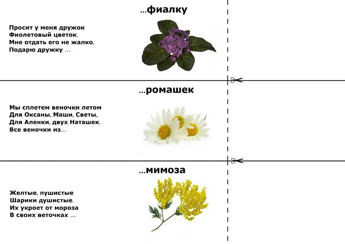 Загадка про похож. Загадки про цветы для детей. Загадки про цветы для детей с ответами. Детские загадки про цветы. Загадки про цветы с ответами.