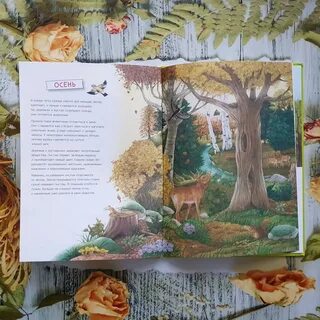 Лесной календарь читать