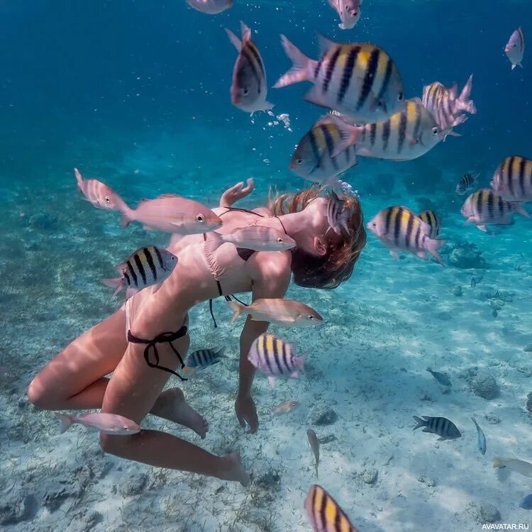 Человек плывет в море. Рава рэй - таитянская модель. Скат хвостокол мальдивы. Рыба человек купалась. Рыба человек купалась.