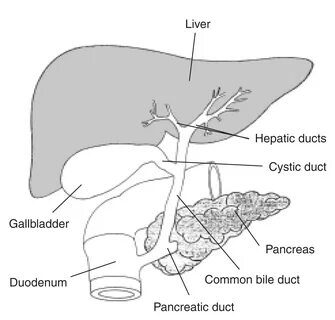 Gallbladder formula