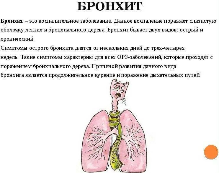 Мокрота передается. Острый бронхит и хронический бронхит. Лёгкие ребенка при бронхите. Симптомы поражения бронхов при остром бронхите. При остром бронхите поражаются бронхи.