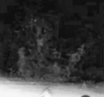 После аварии она стала призраком