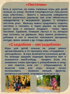 Во что поиграть осенью на улице