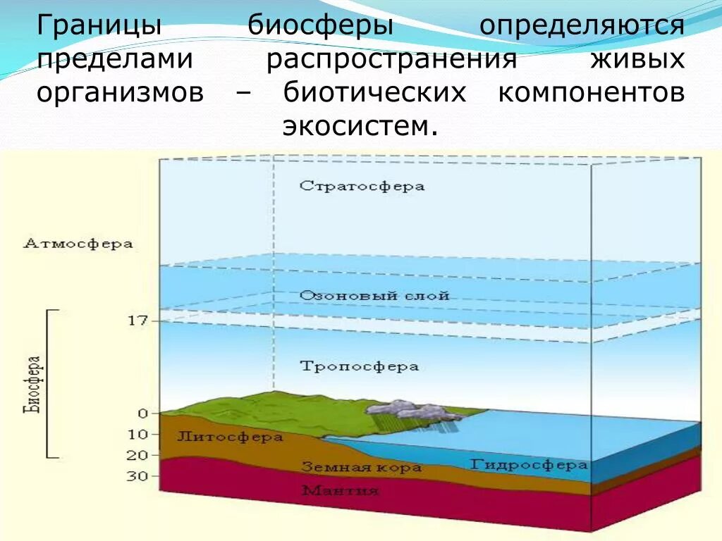 Распространение и роль живого вещества в биосфере схема. Границы биосферы состав биосферы. Границы биосферы земли схема. Атмосфера границы распространения жизни. Что делает биосфера