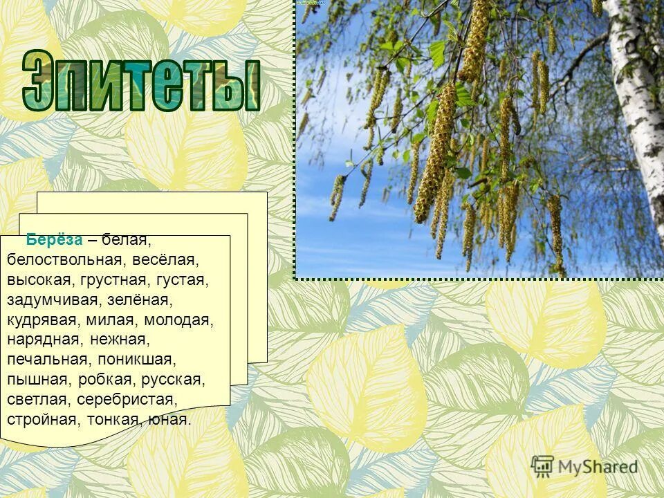 Эпитеты к березе. Береза краткое описание. Подобрать эпитеты к слову. Стихотворение белая берёза васильев. Сравнения и эпитеты о березе.