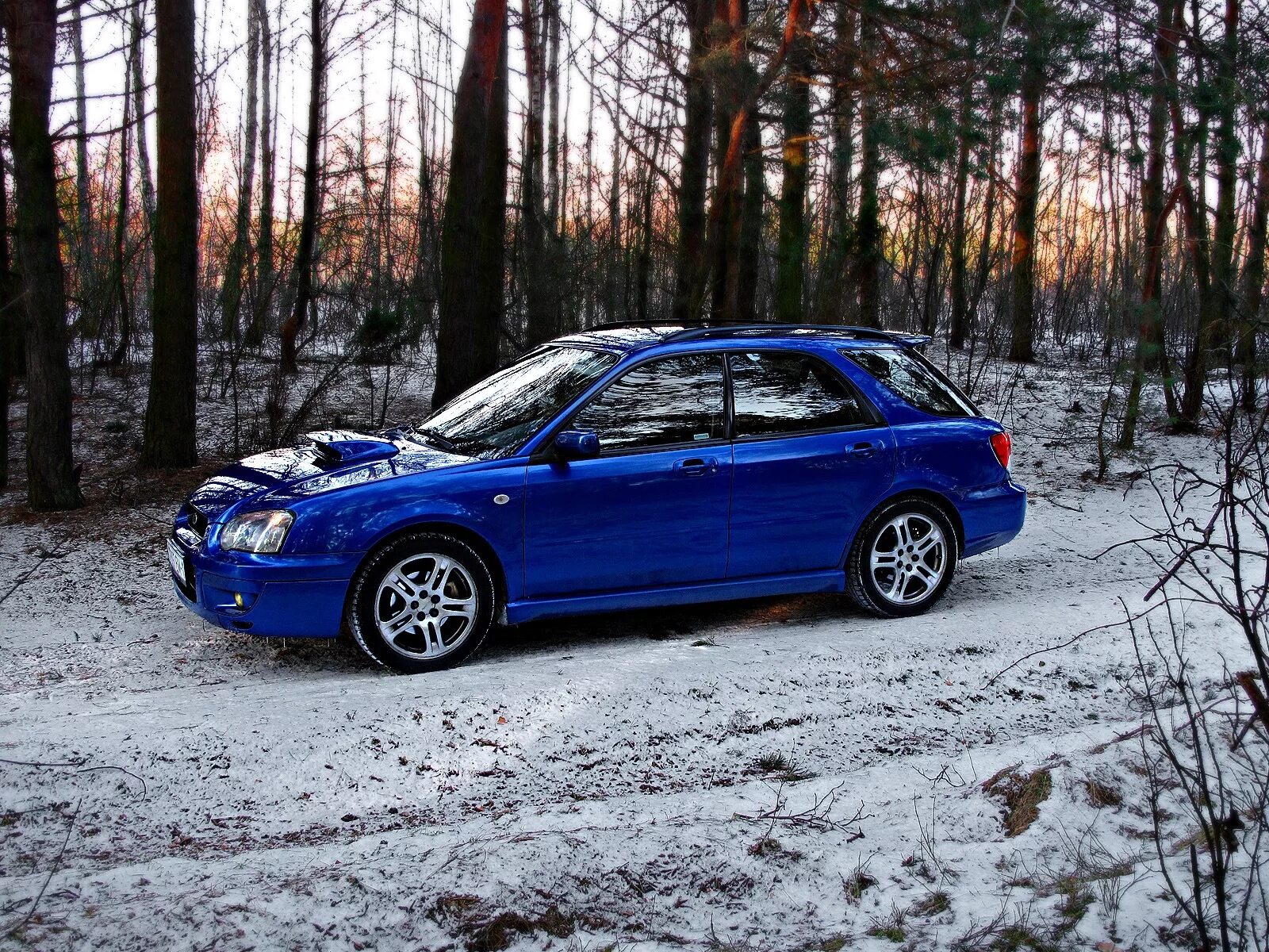Субару драйв 2. Субаристы. Березовая субару. Цвет 61к subaru. Березовая субару.