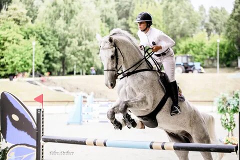 Конный спорт сайт