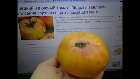 Томат медовый описание сорта фото