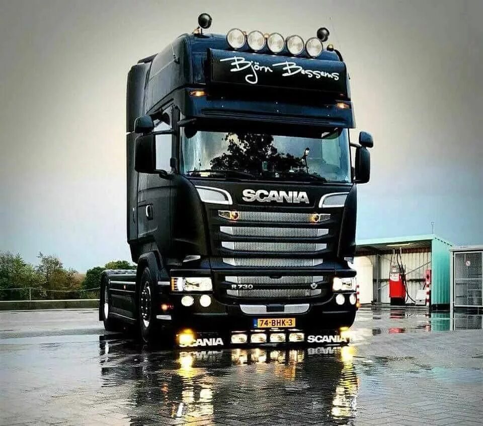 Легковушка в родстве со сканией. Scania r730. Скания r730 v8. Скания r730 лесовоз. Scania r730 самосвал.