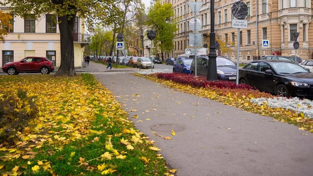 6 7 я линии васильевского острова. 7 Линия Васильевского острова. 6-Я линия Васильевского острова. Большой проспект Васильевского острова 6.