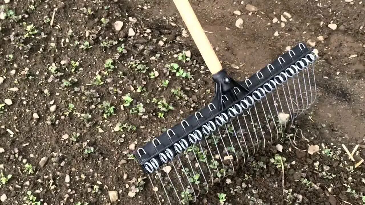 Vegetable field Leaf Rake. Using a Leaf Rake in the Garden. Weed Rake. Gardner Original Weed Rake.