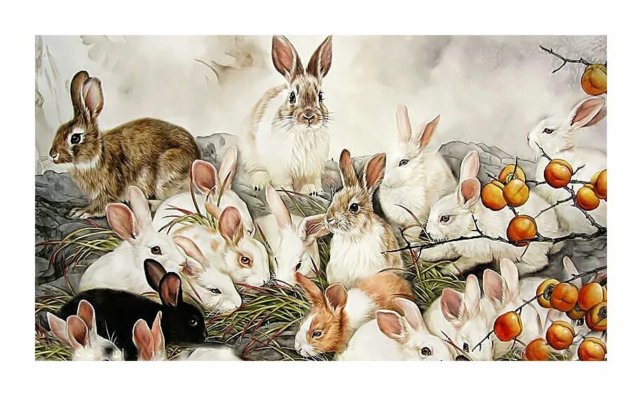 Много зайки. Кролик живопись. Зайцы много. Семейство кроликов. Заяц картина.