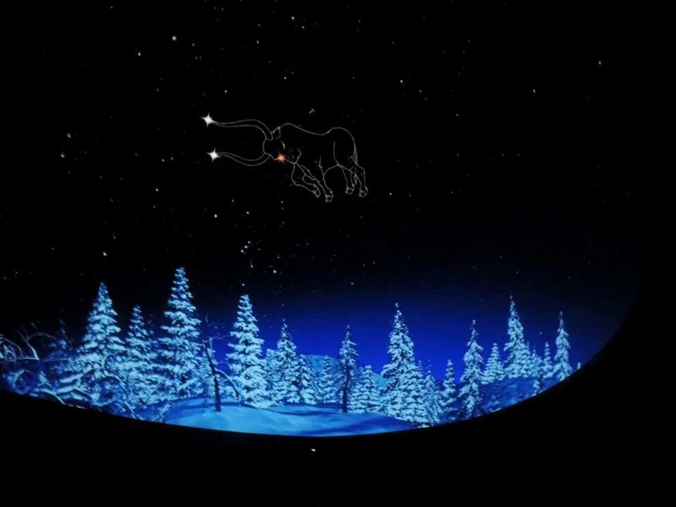 елка нечего терять. елка космос обложка. ёлка всё произойдёт. ёлка певица 2022. песня елки космос.