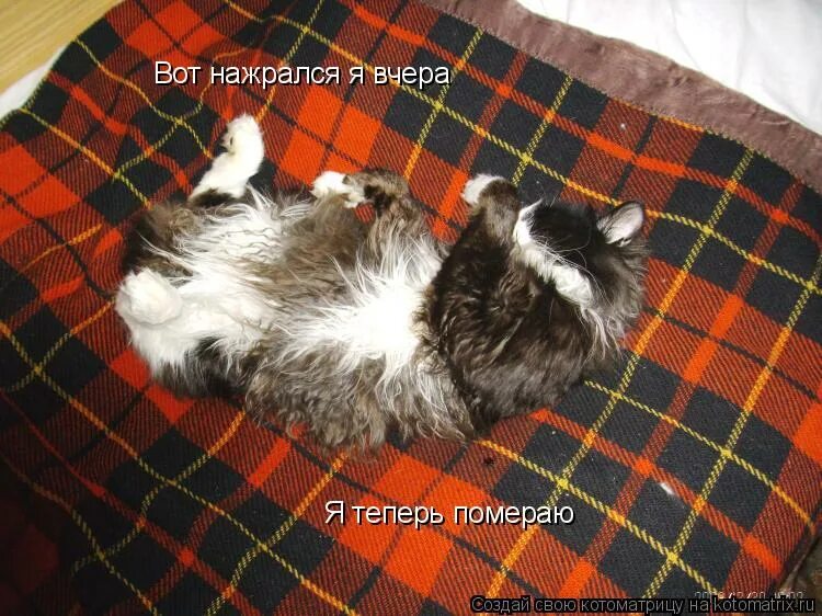 Холодного говоришь. Анекдот про патологоанатома и девушку. Как нажрался я вчера. Как нажрался я вчера. Как нажрался я вчера.