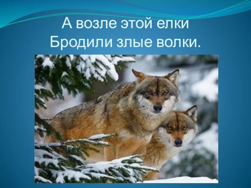 Волк в лесу. В лесу бродили злые волки. Серый волк арт. В лесу бродили злые волки. Барто дело было в январе.